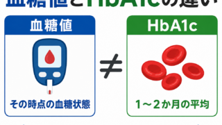 血糖値とHbA1cの違い｜どちらが重要？結果がずれる理由と受診の目安