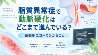 脂質異常症で動脈硬化はどこまで進んでいる？頸動脈エコーで分かること